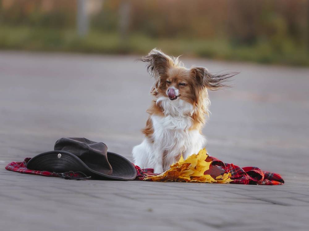 Photograph by Мария Клещенко