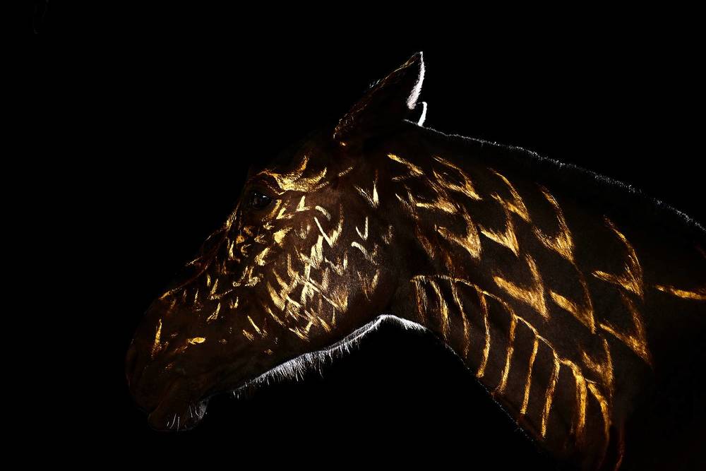 Photograph by Дарья Кравченко