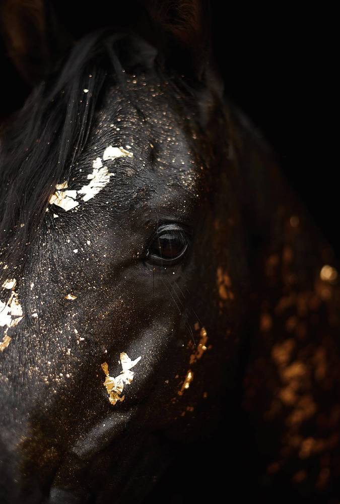 Photograph by Дарья Кравченко