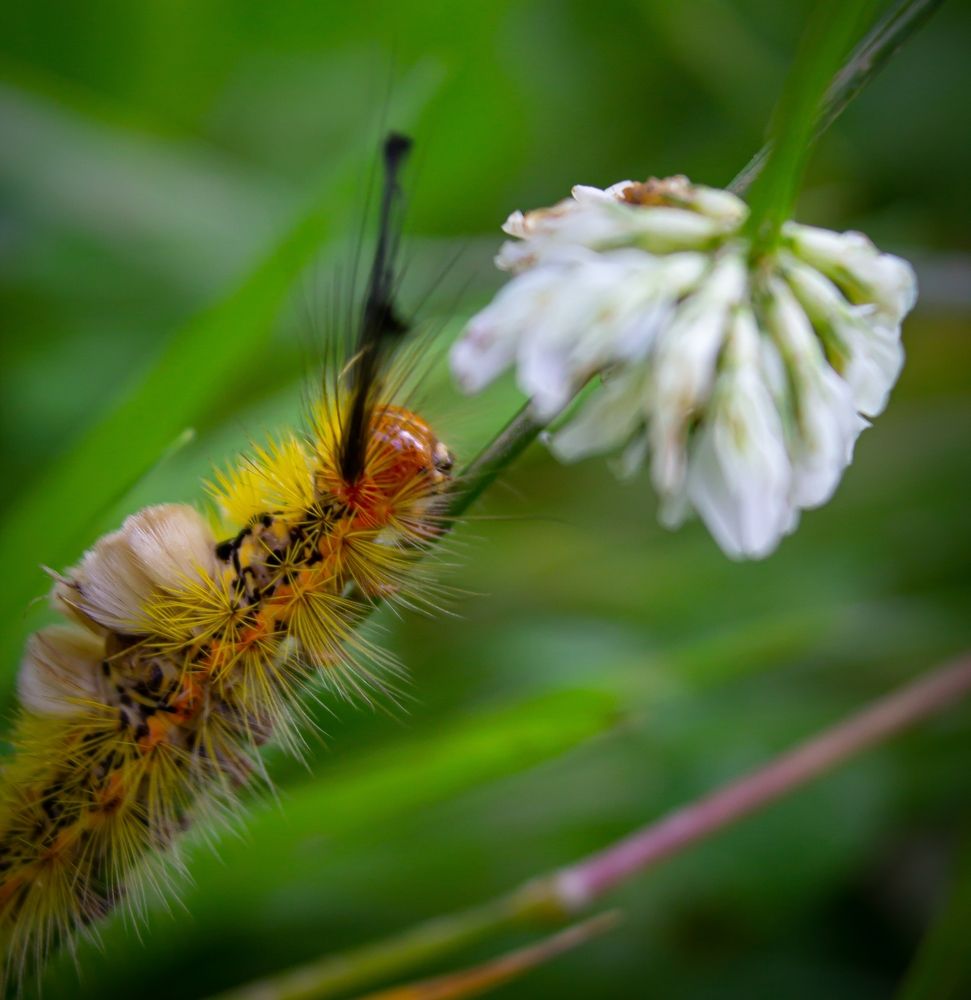 Photograph by Анна Осинцева