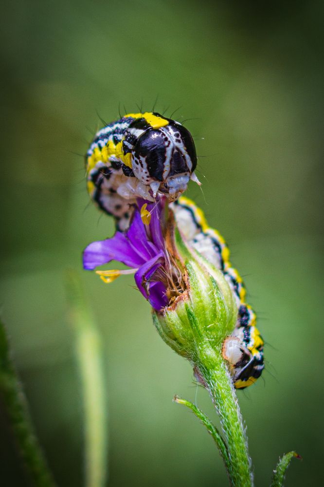 Photograph by Анна Осинцева