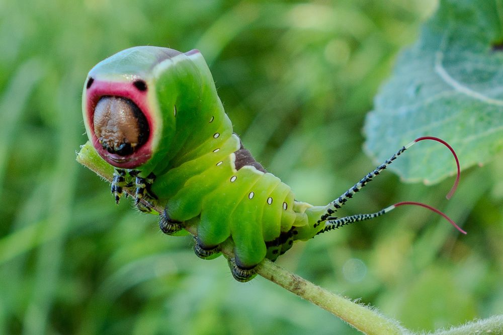 Photograph by Сергей Морозов