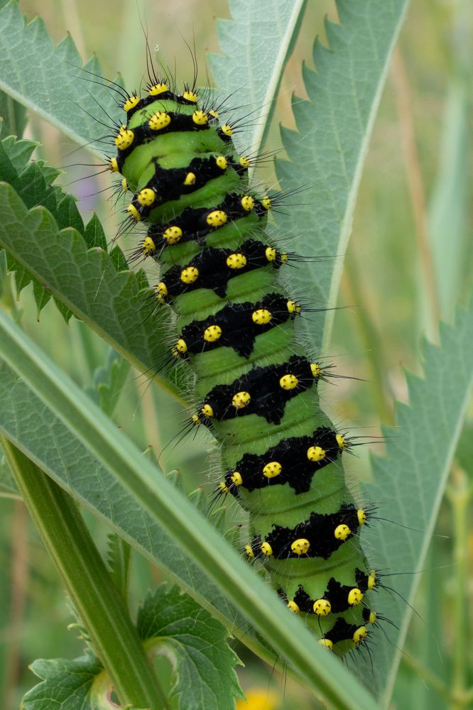 Photograph by Сергей Морозов