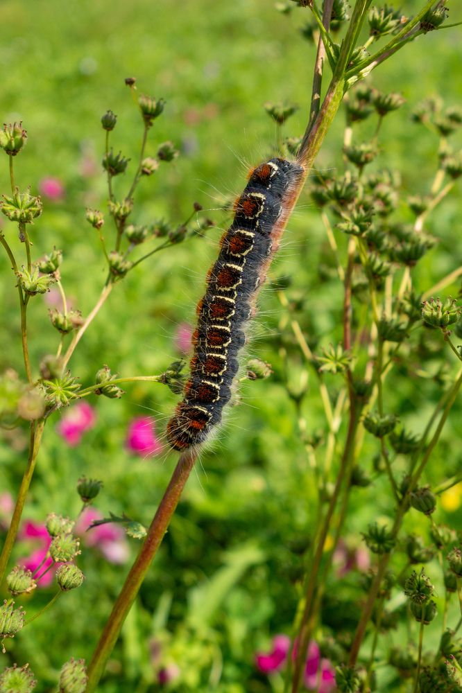Photograph by Сергей Морозов