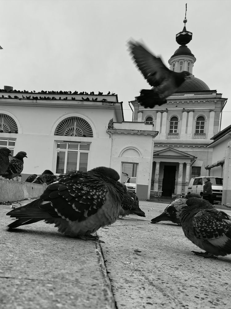 Фотография автора Вера