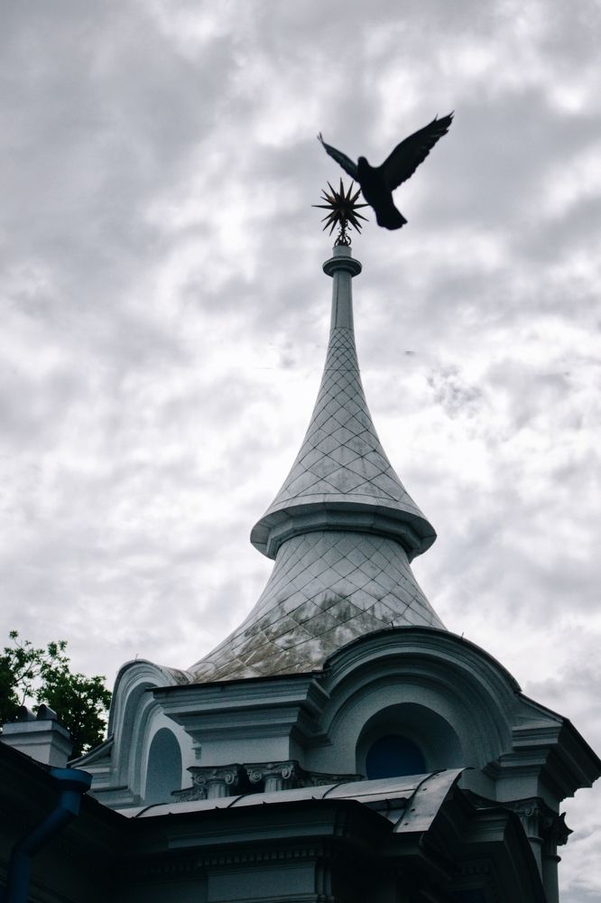 Photograph by Anastasia Anikina