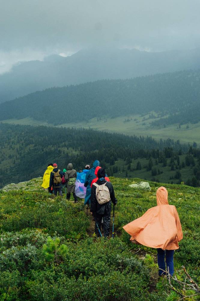 Photograph by Анастасия Сартакова