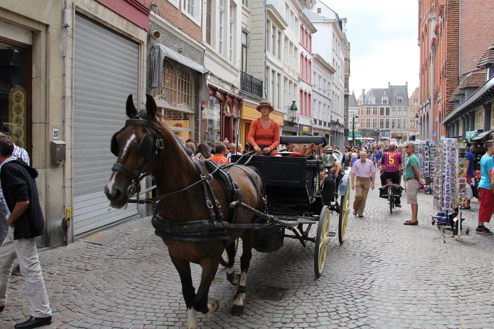 Одна лошадиная сила