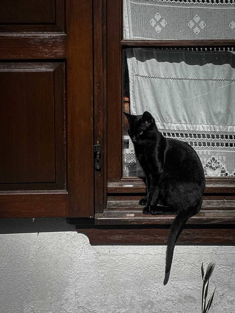 Photograph by Анастасия Сартакова