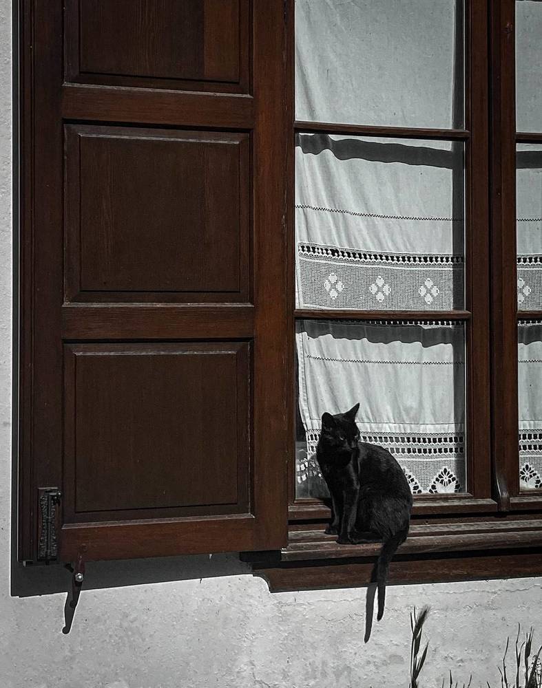 Photograph by Анастасия Сартакова