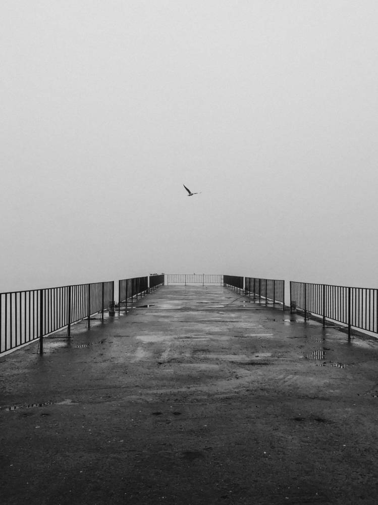 Photograph by Соколова Виктория