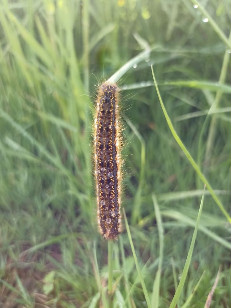 Photograph by Юлия