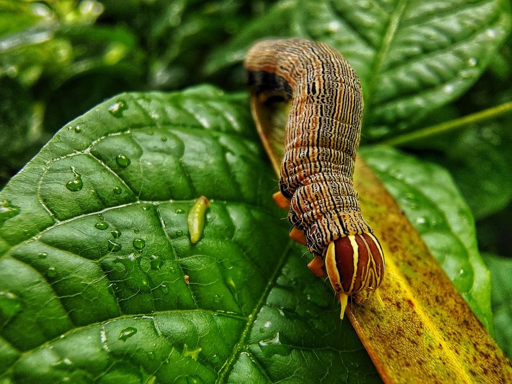 Photograph by Pratik Pawar