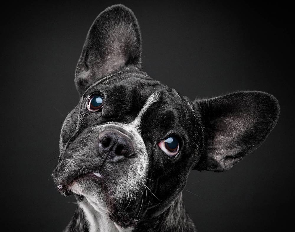 Photograph by Дёгтев Евгений