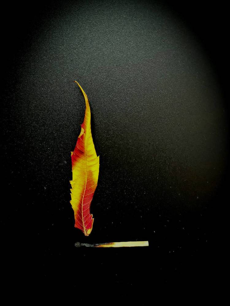 Photograph by Наталья Чурашова