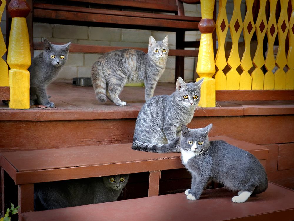 Photograph by Татьяна Елькина