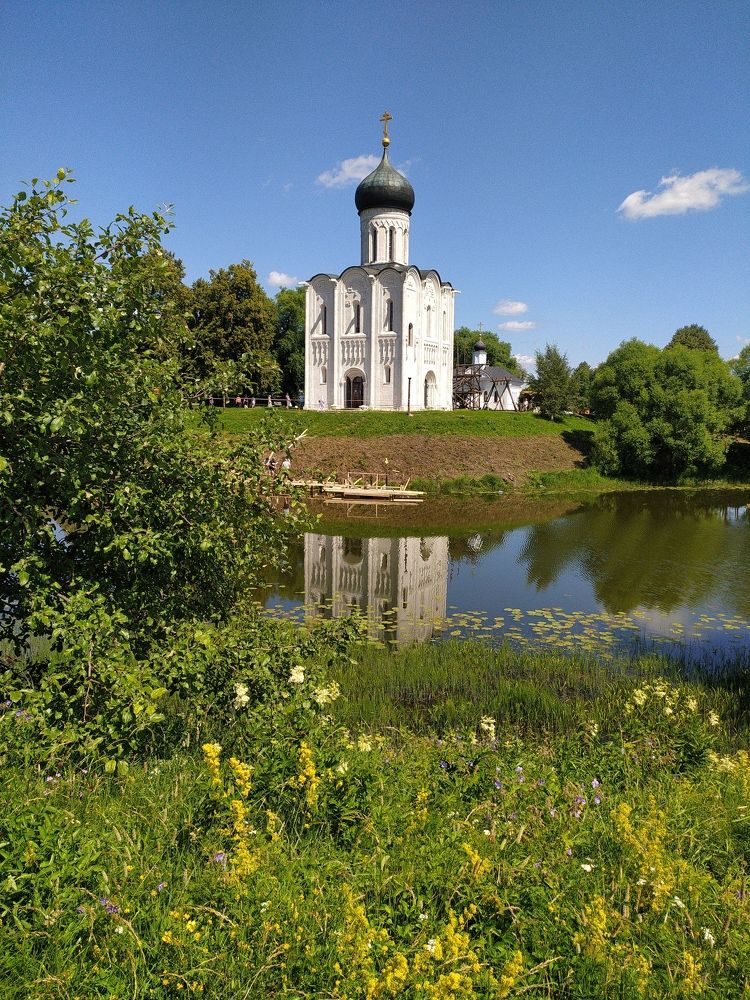 Фотография автора Дарья Петровская
