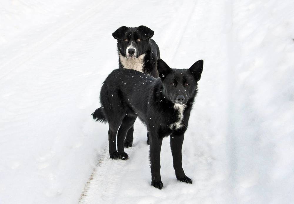 Photograph by Валерий Клейменов
