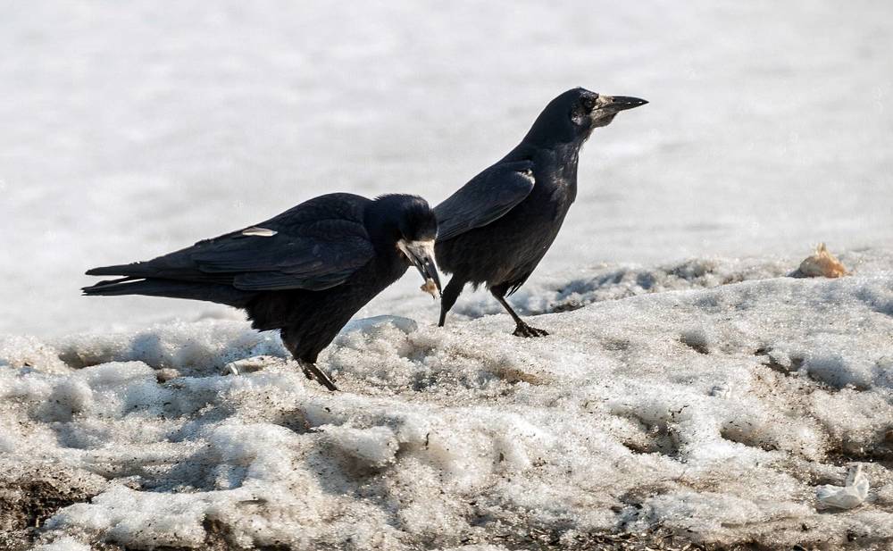 Photograph by Валерий Клейменов