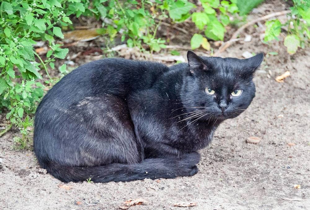 Photograph by Валерий Клейменов