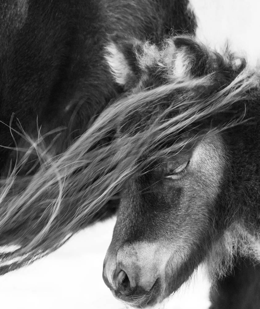 Photograph by Vania Tonova