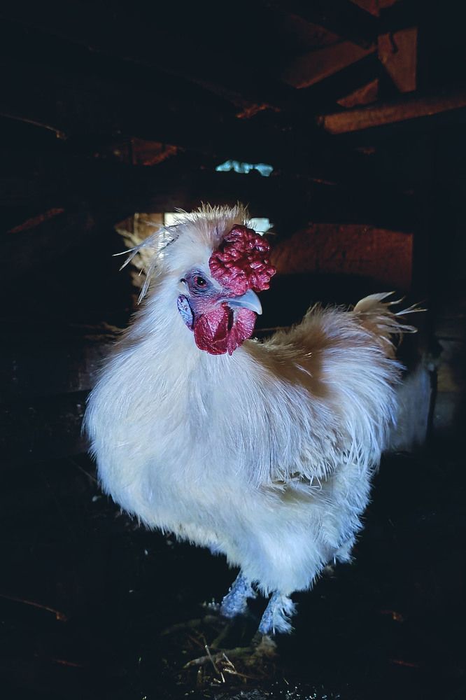 Photograph by Диана Токаревич