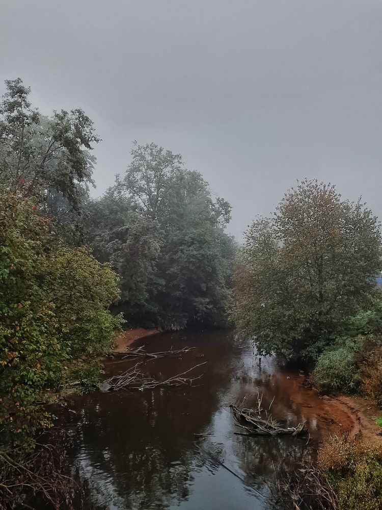Photograph by Лариса Госнедель