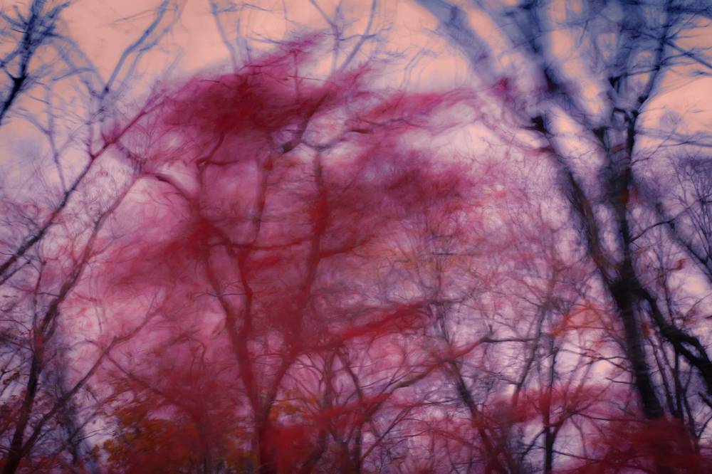 Photograph by Ольга Мусиенко