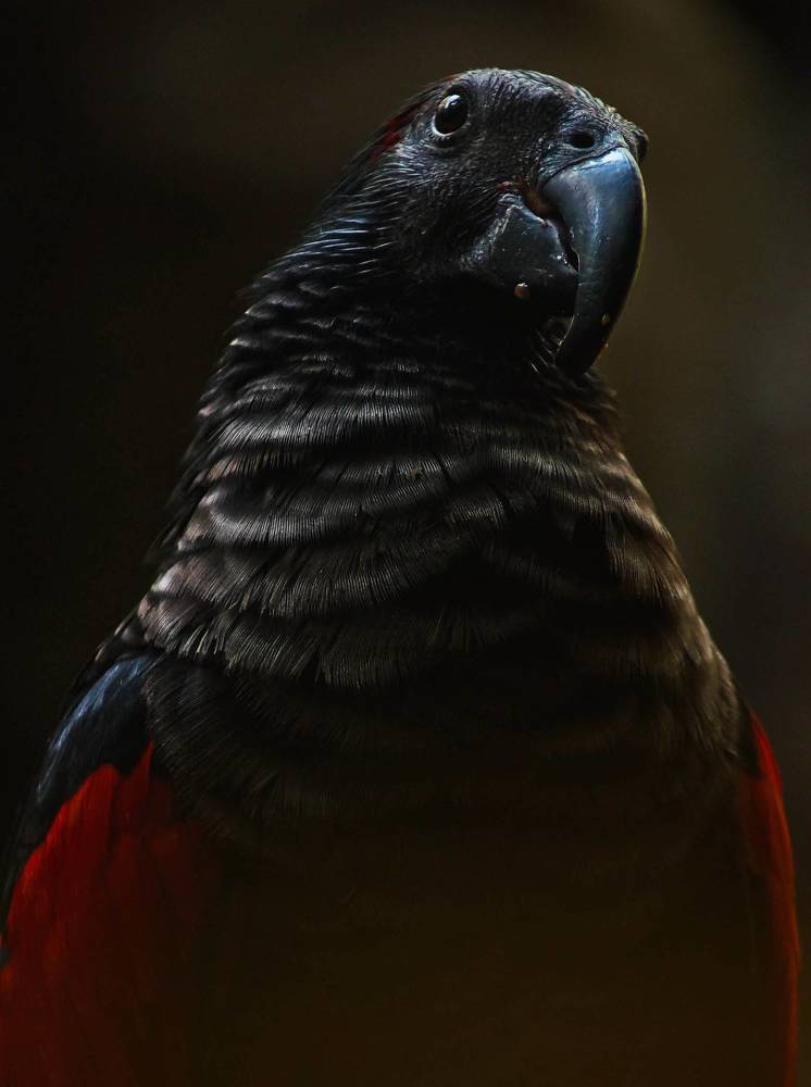 Photograph by Наталья Екимова