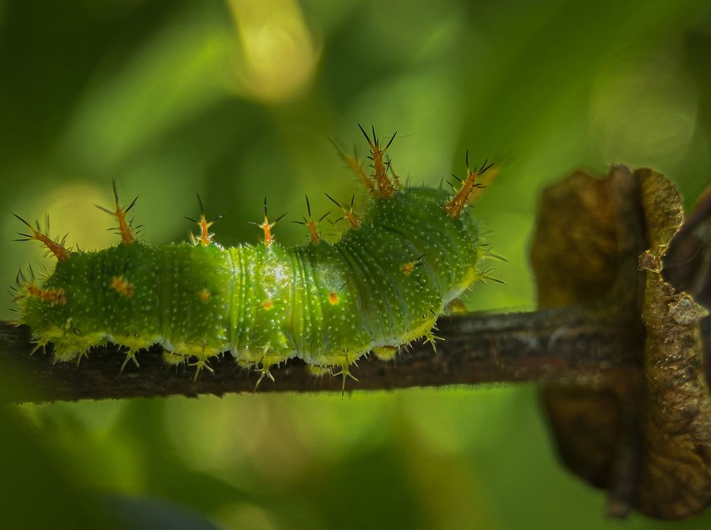 Photograph by Юлия Шустикова