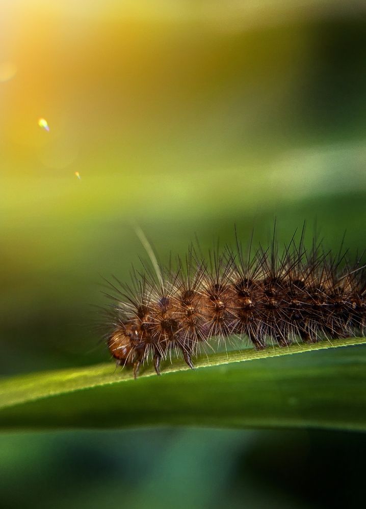 Photograph by Юлия Шустикова