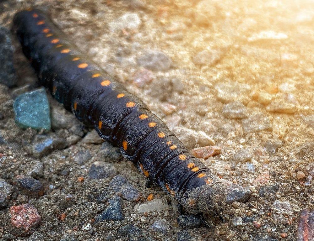 Photograph by Юлия Шустикова