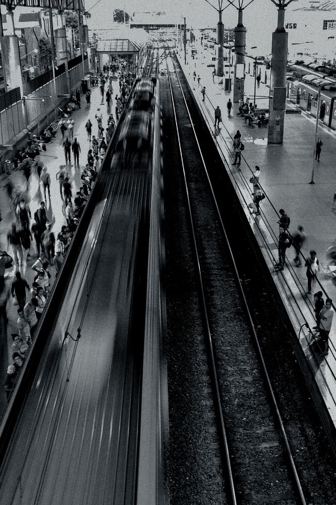 Фотография автора Evandro Paula Alves