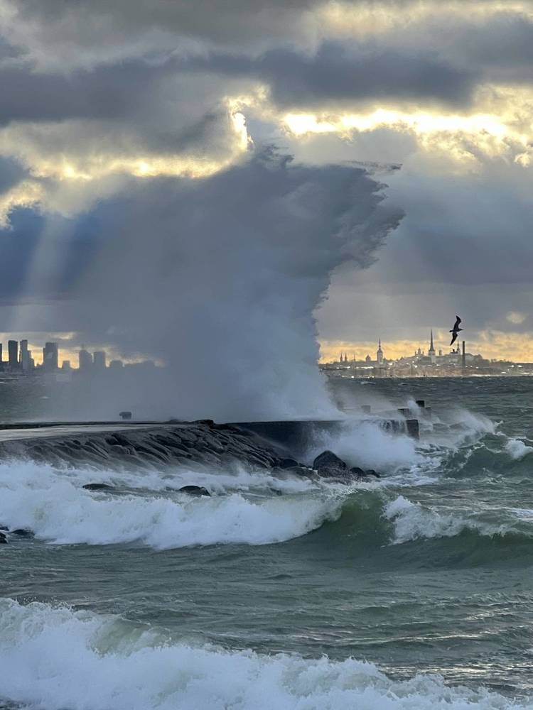 Photograph by Veronika Lemke