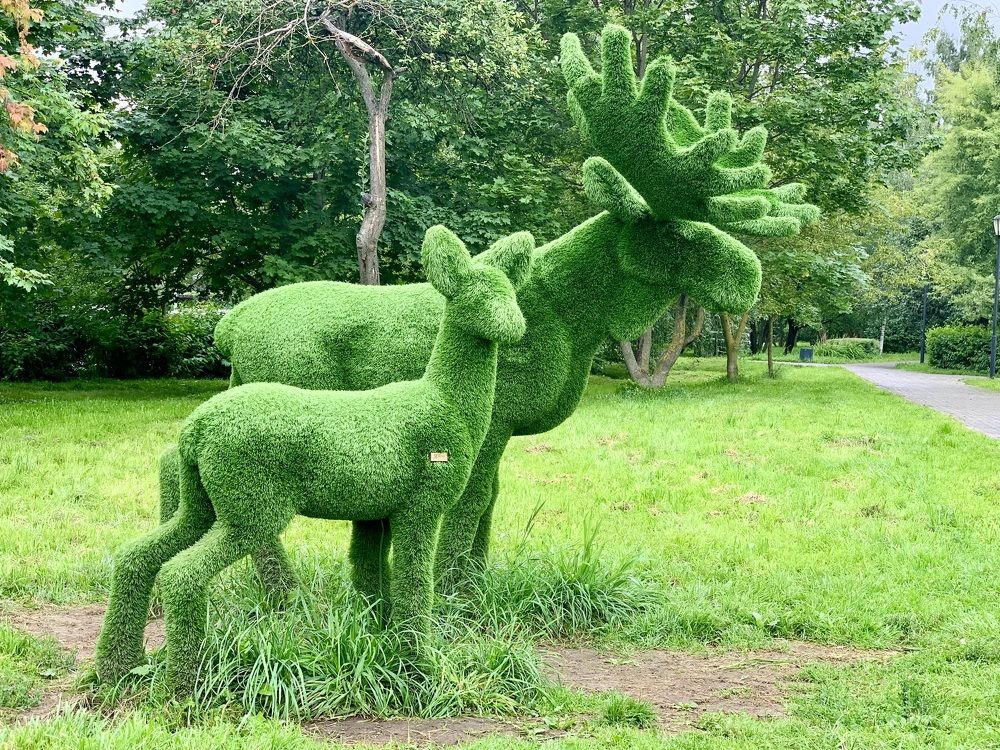 Даже звери позеленели…