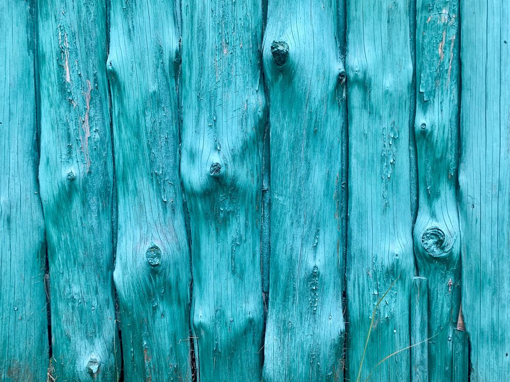 Photograph by Ионова Татьяна