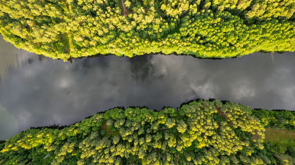 Фотография автора Виталий Зейфер