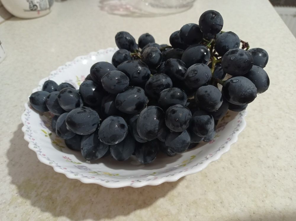 Photograph by Ирина Марченко