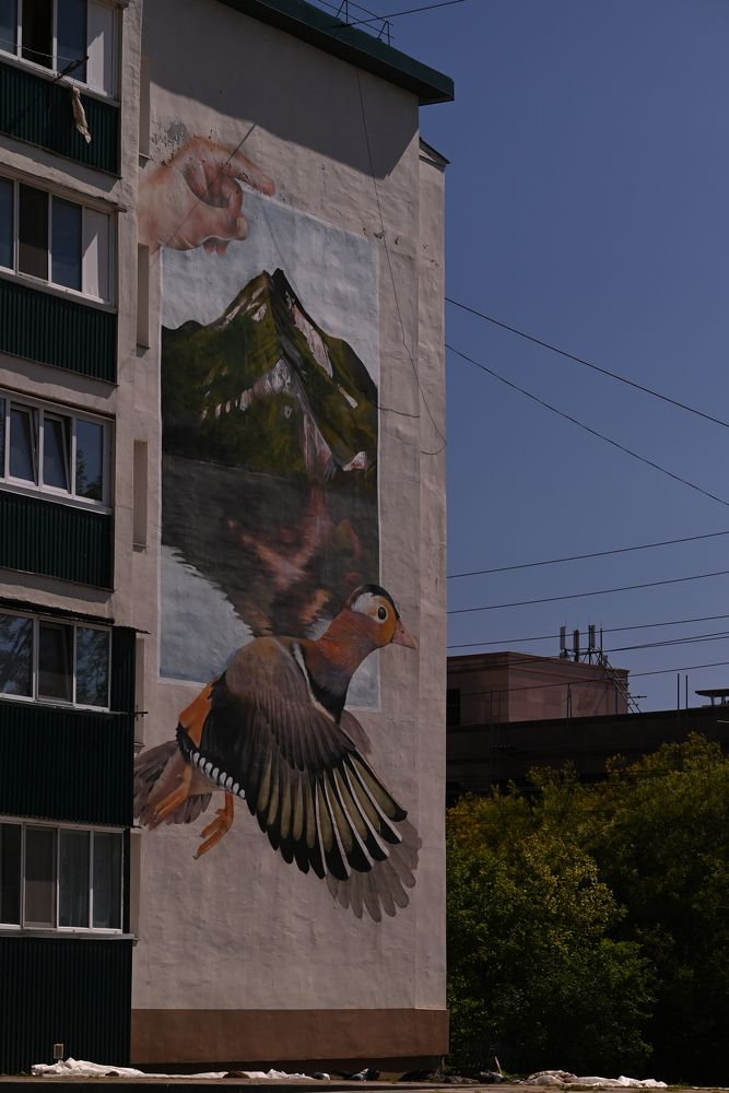 Photograph by Elvira Ner