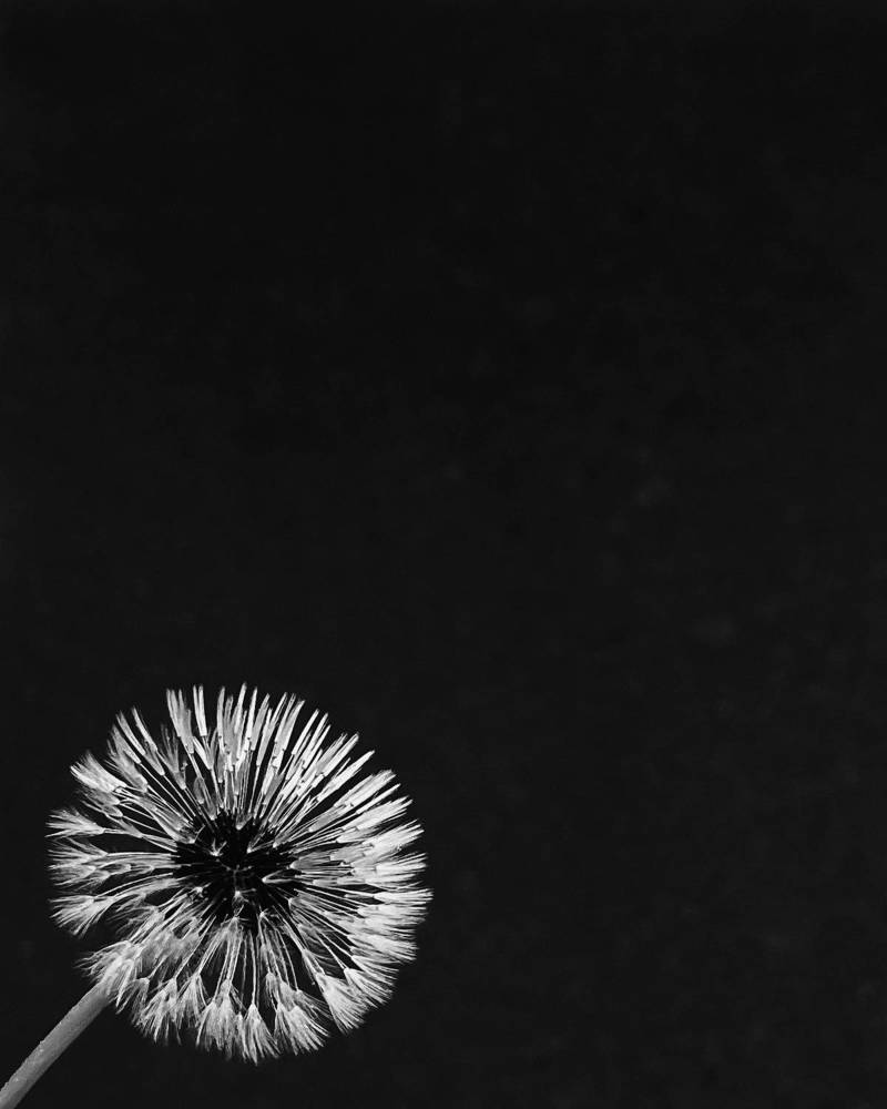 Фотография автора Елена Меньшикова