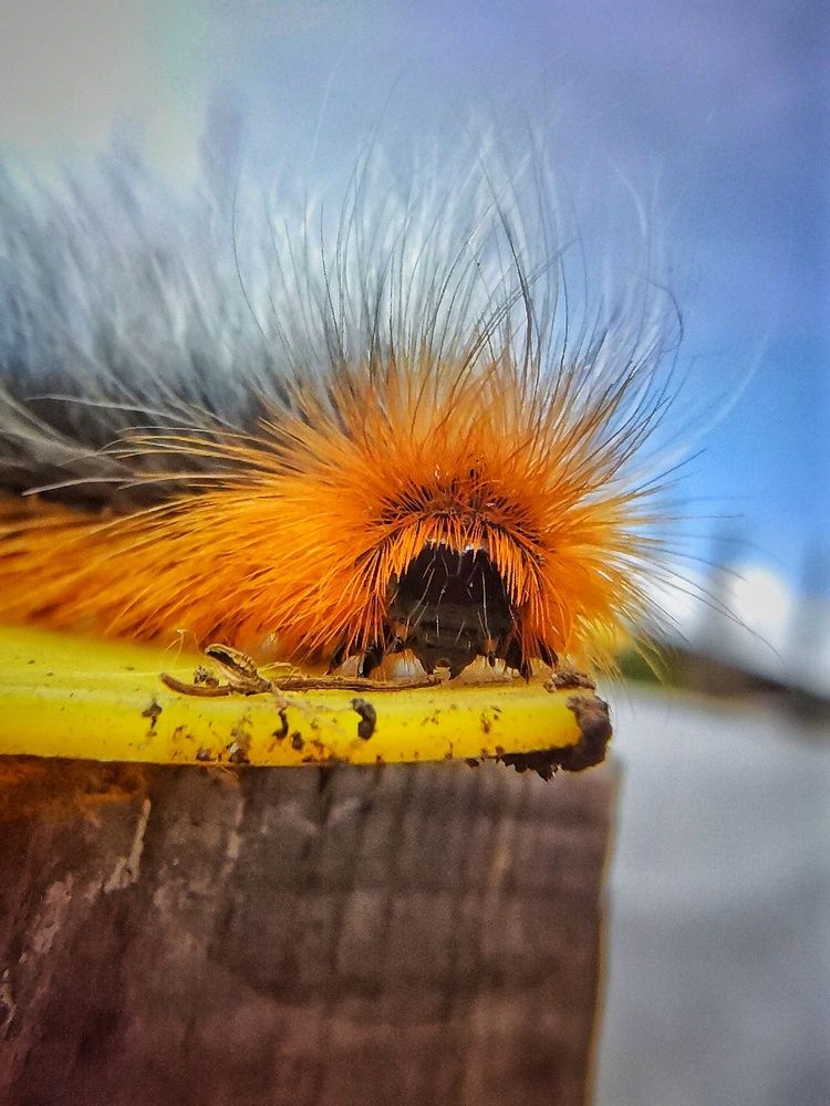 Photograph by Наталья Горбачева