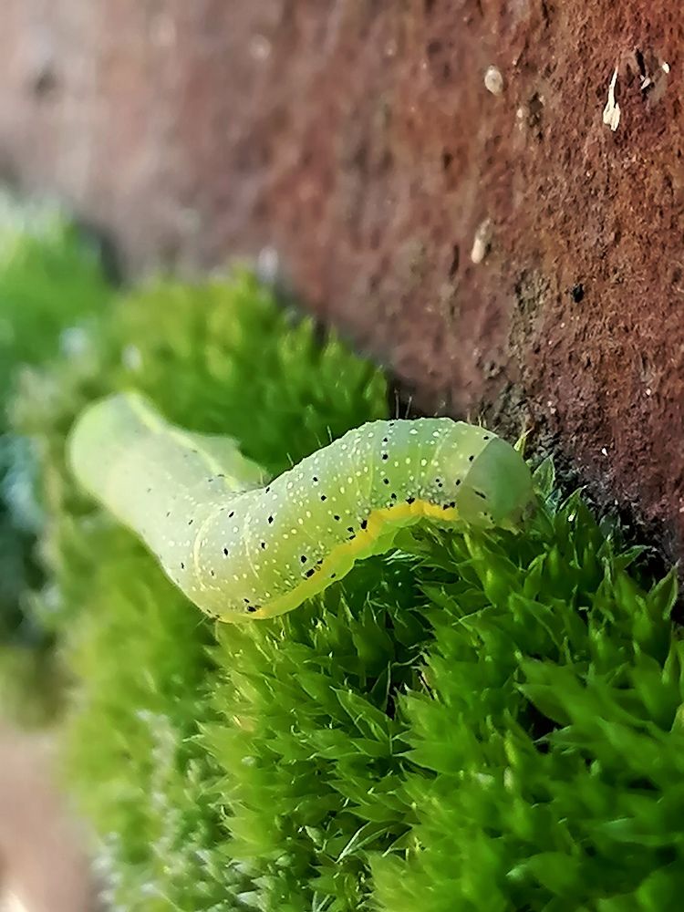 Photograph by Галина Карманова