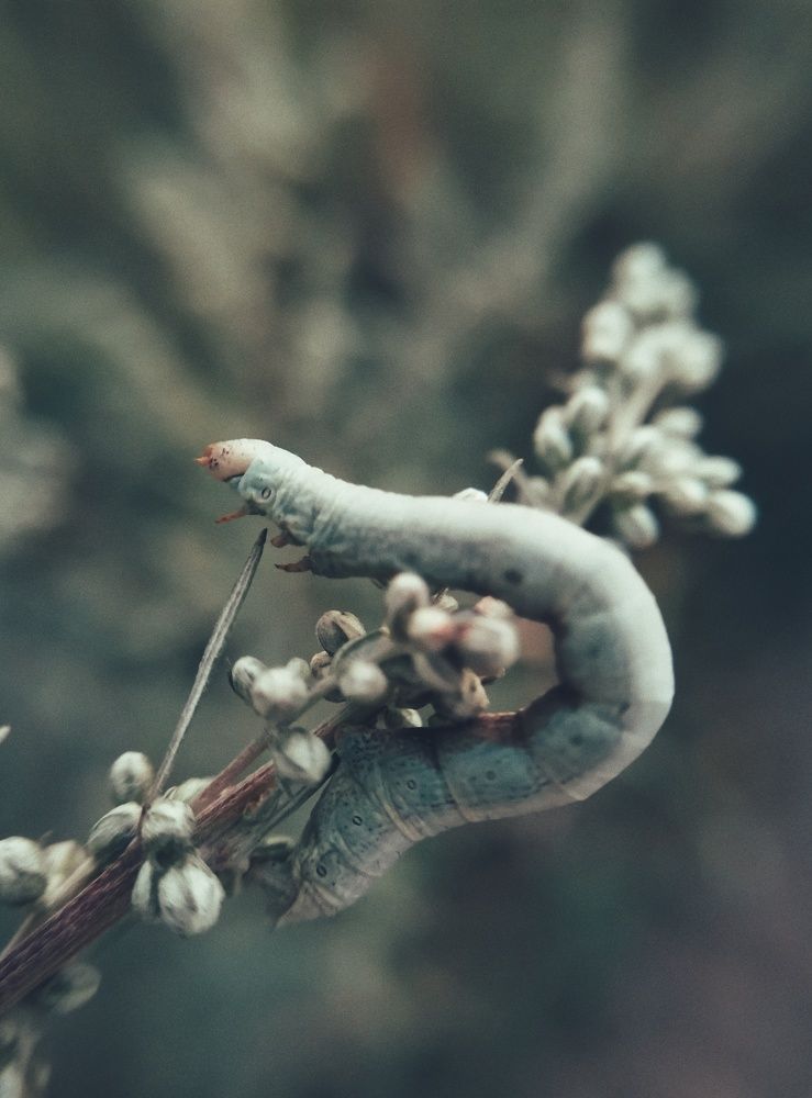 Photograph by Наталья Горбачева