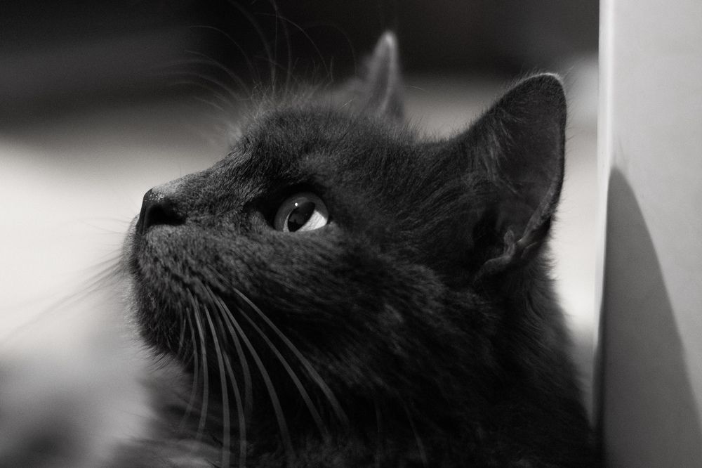 Photograph by Sofia Koshman