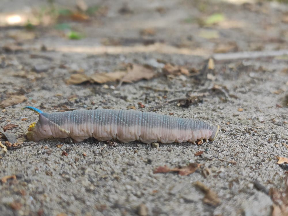 Photograph by Виталий Черепенькин