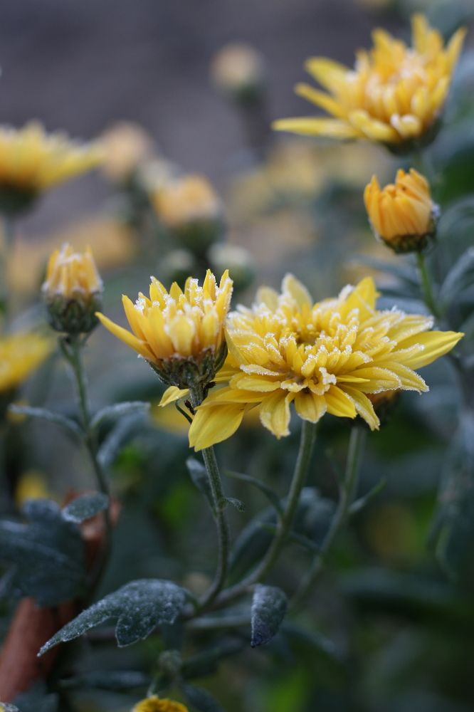 Photograph by АЛЛА ТАРАСЕНКО