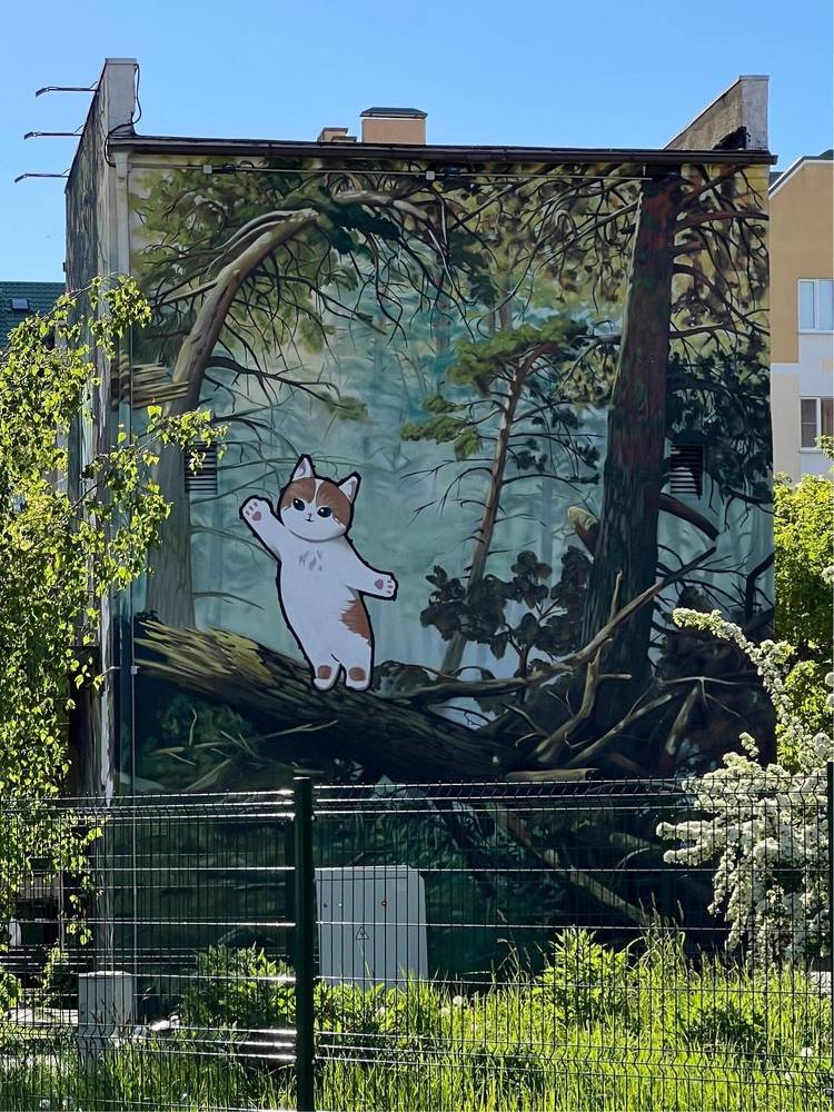 Photograph by Tatiana Grinko