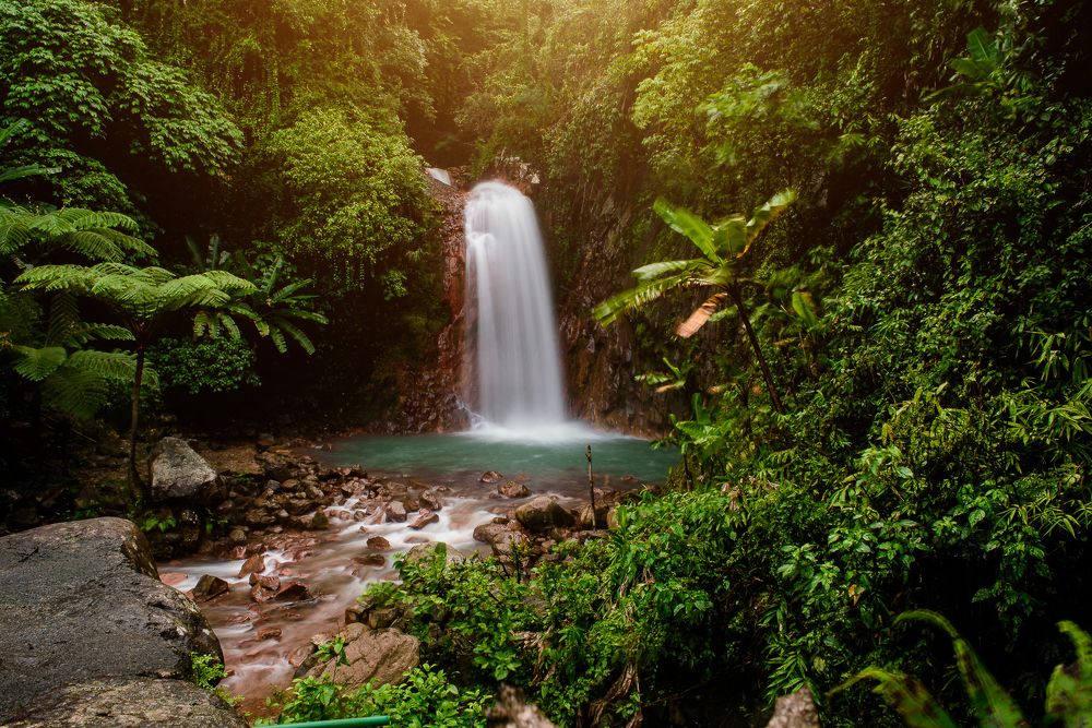 Photograph by Arjie Quiampao