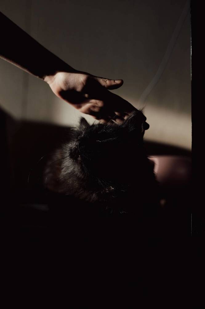 Фотография автора Дарина Фельдман