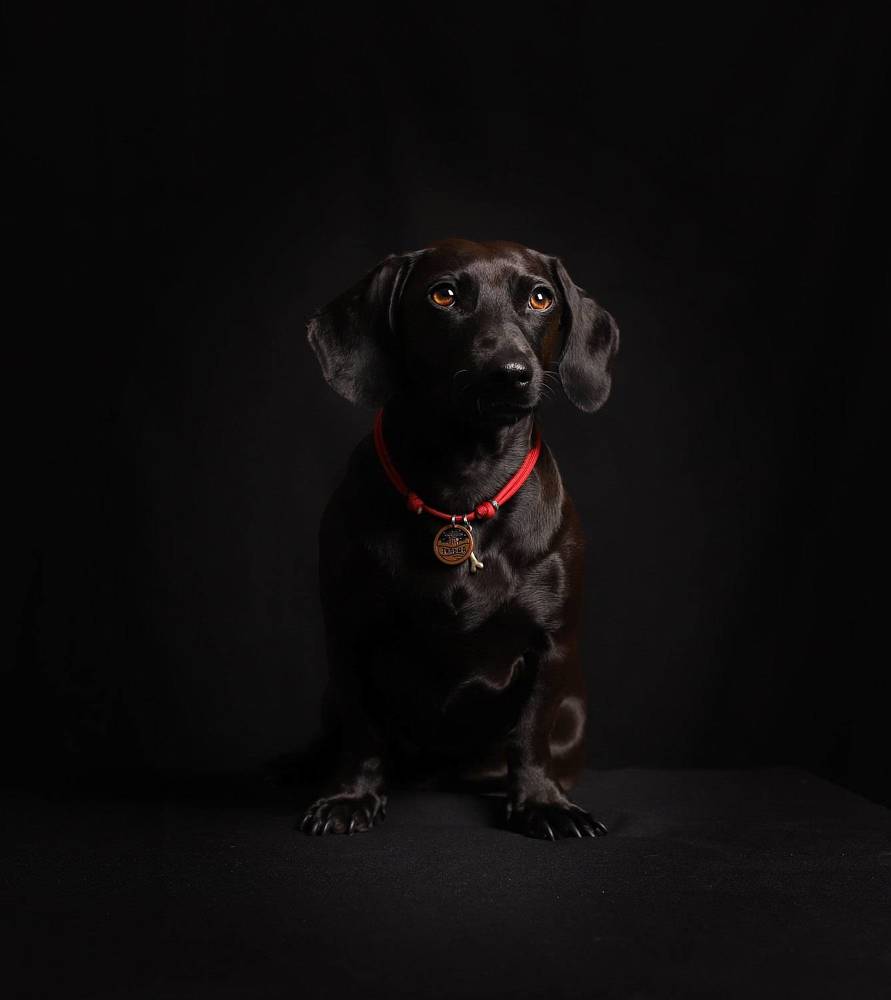 Photograph by Ольга Колобова